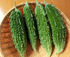 「ゴーヤ」で疲労回復