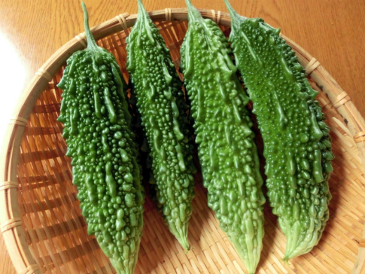 「ゴーヤ」で疲労回復