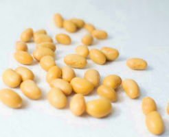 「大豆」で疲労回復