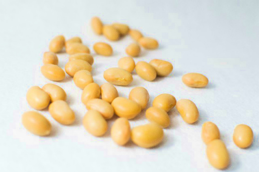 「大豆」で疲労回復